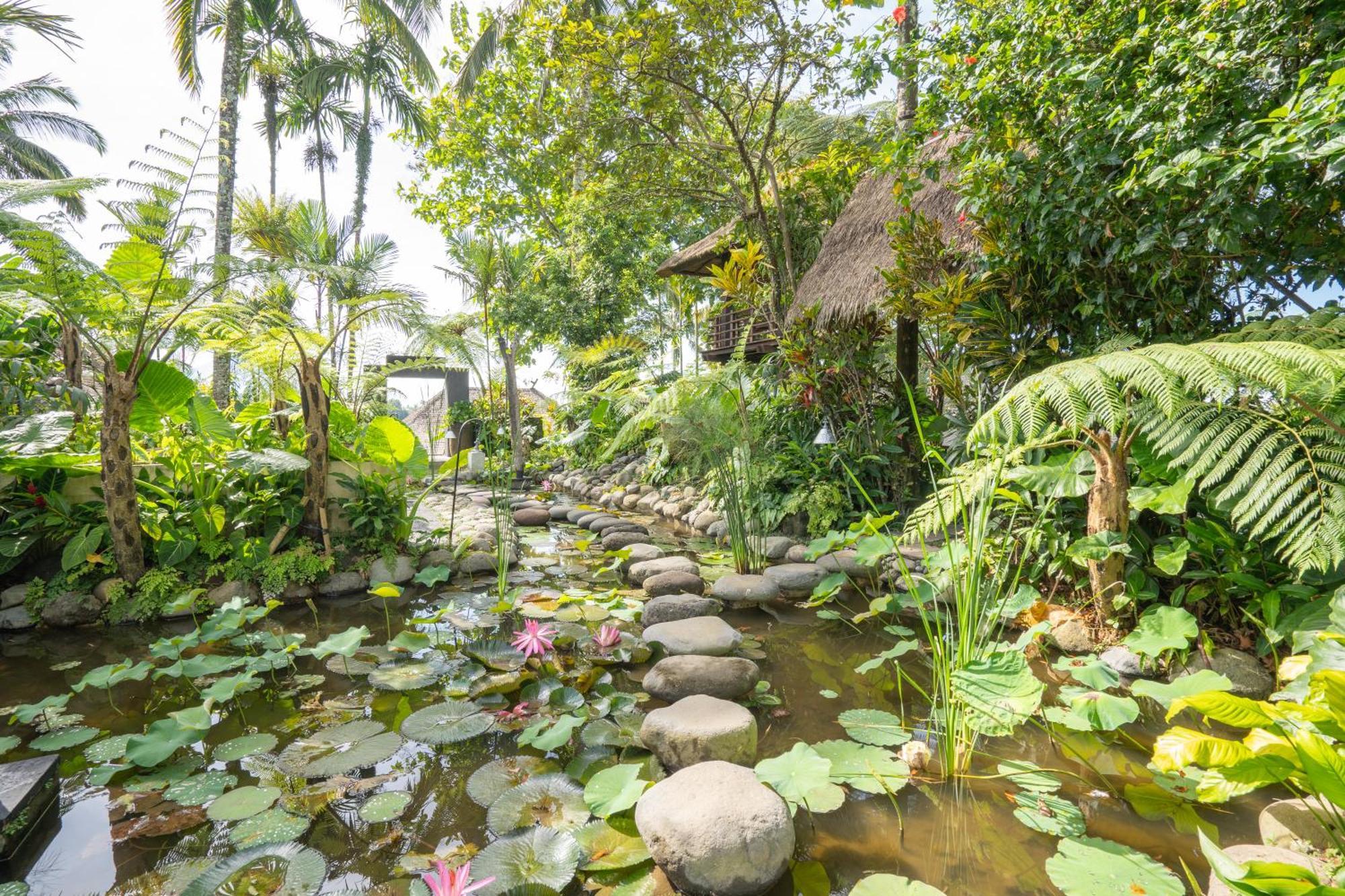 Awan Putih Resort Payangan Exterior foto